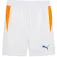 Puma Individual Training shorts