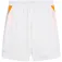 Puma Short Individual Training