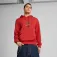 Puma Road To Unity Graphic hoodie