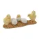 Collecta Grup de pollets