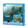 Collecta Memory-Spiel Ozeane und Eis