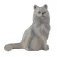 Collecta Perserkatze sitzt