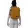 Cabin zero Classic 28L tech ultra light with luggage trackers backpack