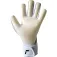 Reusch Attrakt Fastgrip Silver goalkeeper gloves