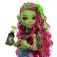 Monster high Nina Venus Mcflytrap