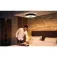 Philips hue White Ambiance Switch