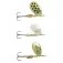 Evia Cucharilla Coe 12 3g