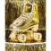 Impala rollers Patines