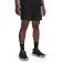 Under armour Short Trail Run 5´´
