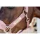 Kentucky Teddy flece halter