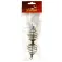 Carp expert Pasturatore Silver Carp