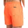 Quiksilver Everyday Solid Volley 15´´ uimashortsit
