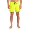 Quiksilver Everyday Solid Volley 15´´ uimashortsit