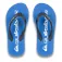 Quiksilver Java Wordmark flip flops