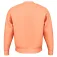 Head Motion Bluza