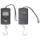 Ragot Digital scale