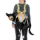 Ruffwear Kit d´évacuation BackTrak™