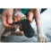 Ruffwear Sabates Bark´n Boot™