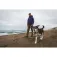 Ruffwear Front Range™ dog collar