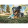 Ruffwear Morel™ Bidering