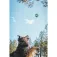 Ruffwear Toadstool™ Bidering