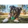 Ruffwear Toadstool™ Bitering