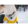 Ruffwear Vert™ 犬のジャケット