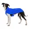 Ruffwear Vert™ dog jacket