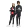 adidas Essentials Big Logo Climacool tracksuit
