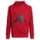 adidas Essentials Big Logo kapuzenpullover