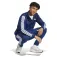 adidas Sportswear Basic 3 Stripes Tricot tracksuit