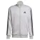 adidas Sportswear Basic 3 Stripes French Terry tracksuit