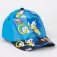Cerdá Sonic The hedgehog Pet