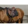 Equitheme Impulsion Schabrak