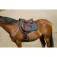 Equitheme Impulsion saddle pad