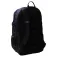 The north face Borealis Classic backpack