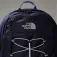 The north face Borealis Classic backpack