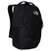 The north face Vault backpack