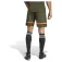 adidas Шорты Squadra 25