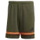 adidas Шорты Squadra 25
