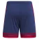 adidas Шорты Squadra 25