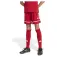 adidas Squadra 25 shorts
