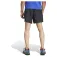 adidas Pantaloni corti Terrex Multi Light 5´´