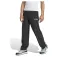adidas Terrex Multi Liteflex 运动裤