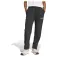 adidas Joggers Terrex Multi Liteflex