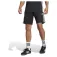 adidas Tiro 25 Essentials shorts