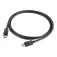 Startech Cable DisplayPort DISPL2M10PK 10 unitats