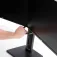 Startech 双显示器支架