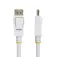 Startech Кабель DisplayPort DP12