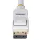 Startech DP12 DisplayPort线缆